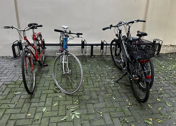 Old Cracow Appartement